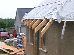 tullahemp 2600.JPG